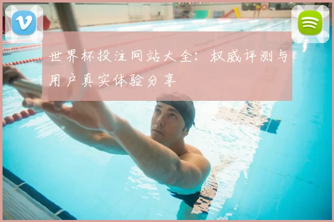 世界杯投注网站大全：权威评测与用户真实体验分享