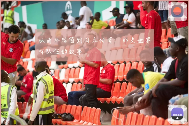 从南非绿茵到日本传奇:那支世界杯队伍的故事