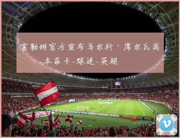 富勒姆官方宣布马尔科·席尔瓦离任_本菲卡_球迷_英超