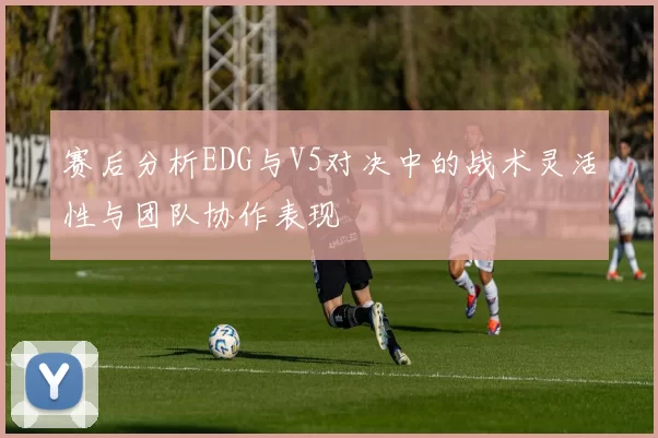 赛后分析EDG与V5对决中的战术灵活性与团队协作表现