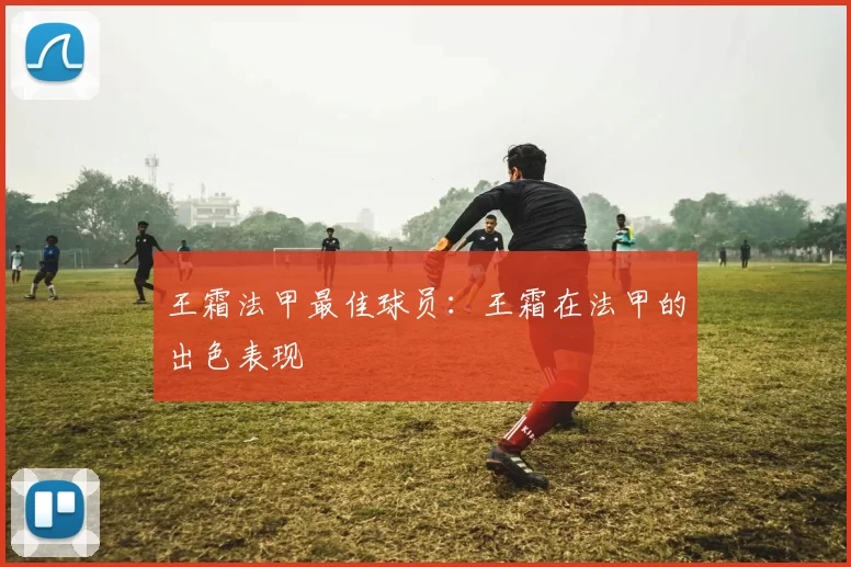 王霜法甲最佳球员：王霜在法甲的出色表现