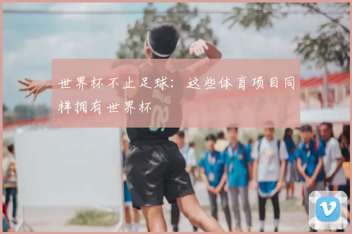 世界杯不止足球：这些体育项目同样拥有世界杯