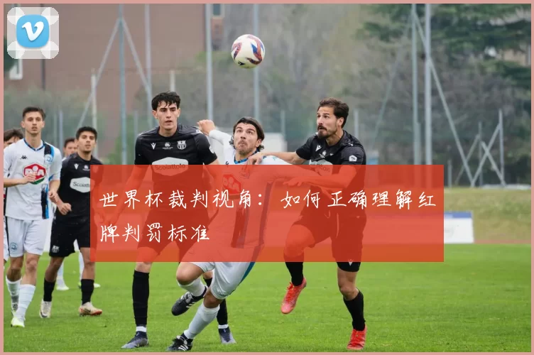 世界杯裁判视角:如何正确理解红牌判罚标准