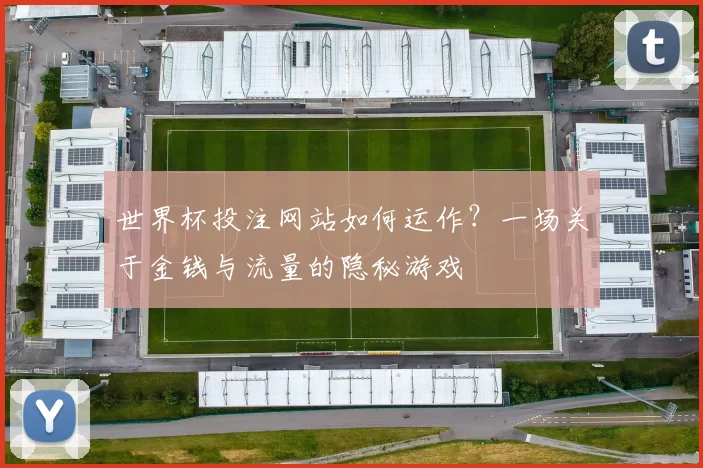世界杯投注网站如何运作？一场关于金钱与流量的隐秘游戏