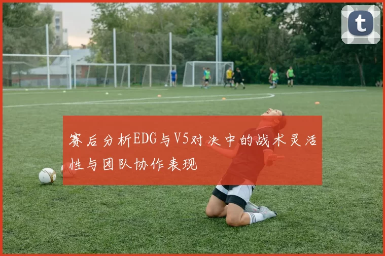赛后分析EDG与V5对决中的战术灵活性与团队协作表现