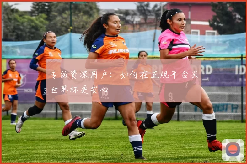 专访资深用户:如何在正规平台买世界杯更安心