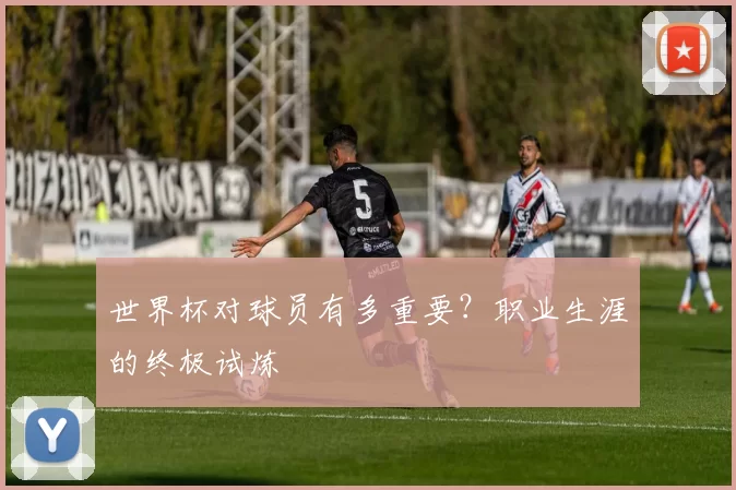 世界杯对球员有多重要？职业生涯的终极试炼