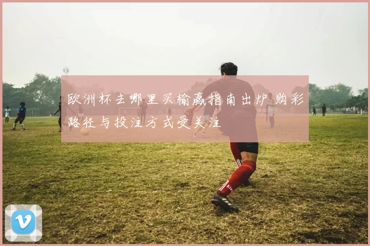 欧洲杯去哪里买输赢指南出炉 购彩路径与投注方式受关注