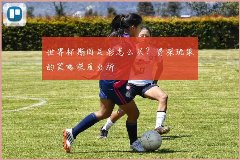 世界杯期间足彩怎么买?资深玩家的策略深度分析