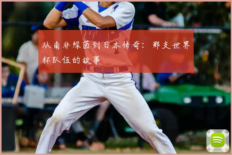 从南非绿茵到日本传奇：那支世界杯队伍的故事