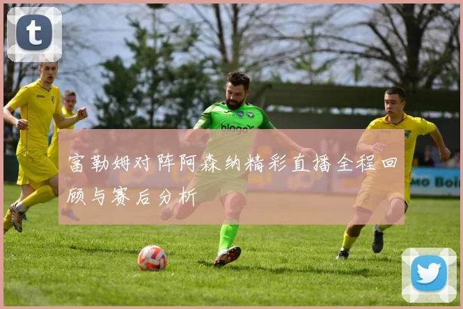 富勒姆对阵阿森纳精彩直播全程回顾与赛后分析