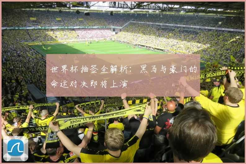世界杯抽签全解析：黑马与豪门的命运对决即将上演