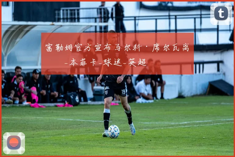 富勒姆官方宣布马尔科·席尔瓦离任_本菲卡_球迷_英超