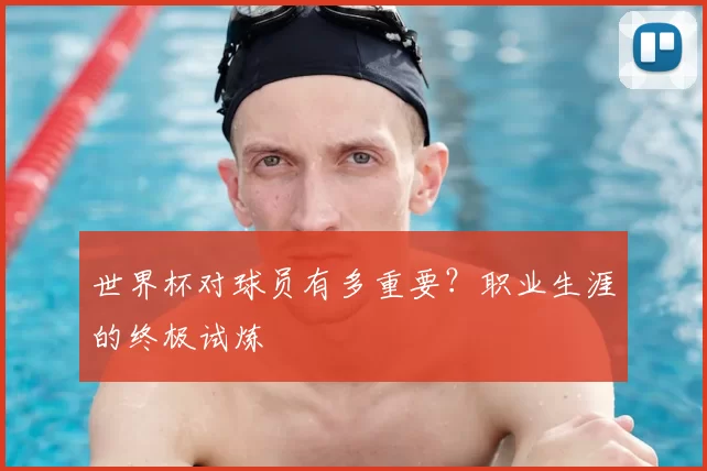 世界杯对球员有多重要？职业生涯的终极试炼