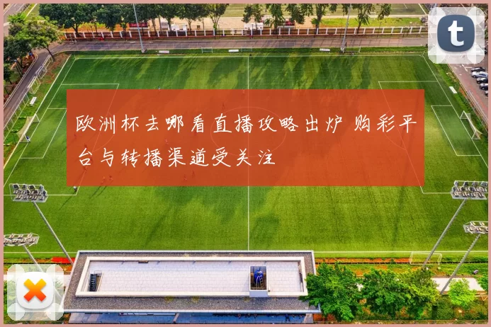 欧洲杯去哪看直播攻略出炉 购彩平台与转播渠道受关注