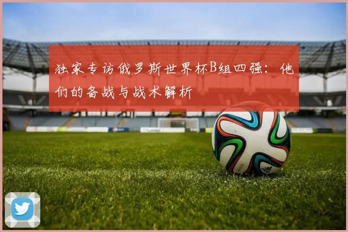 独家专访俄罗斯世界杯B组四强：他们的备战与战术解析